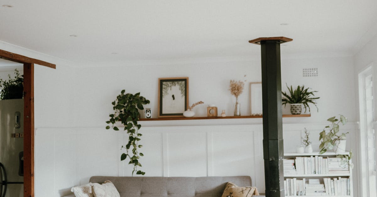 Does clutter increase cortisol?