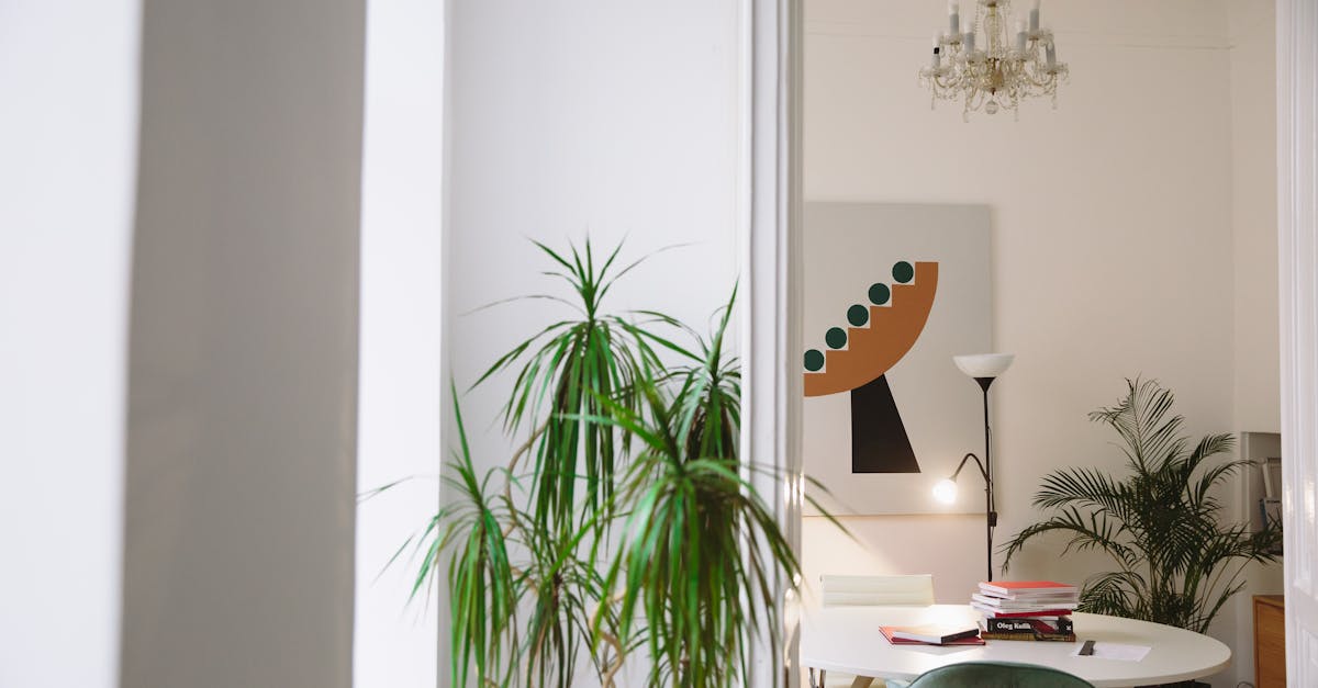 What does God say about decluttering?