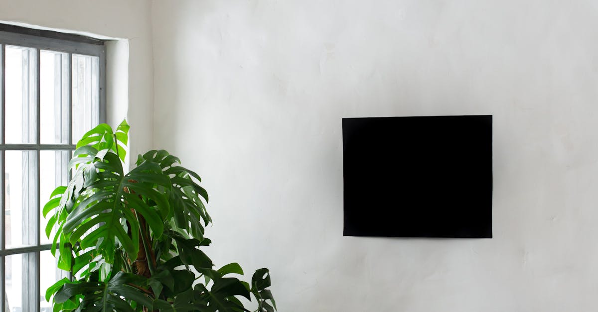 What is the 2 minute declutter rule?