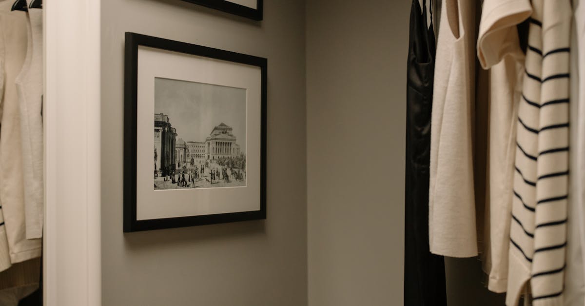 What is the 7 day decluttering plan?