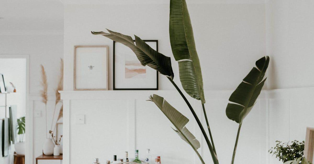 Why is decluttering so powerful?